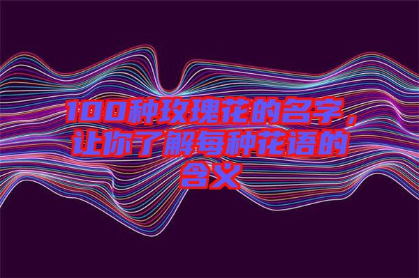 100種玫瑰花的名字，讓你了解每種花語的含義