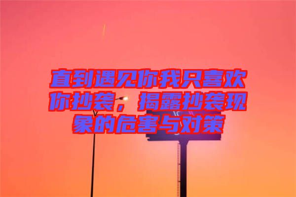 直到遇見你我只喜歡你抄襲，揭露抄襲現象的危害與對策