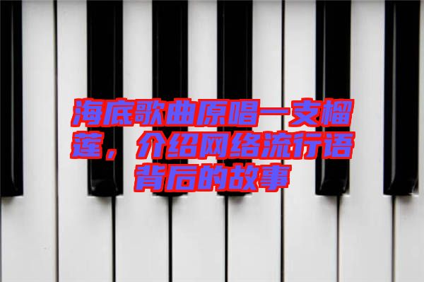 海底歌曲原唱一支榴蓮，介紹網絡流行語背后的故事