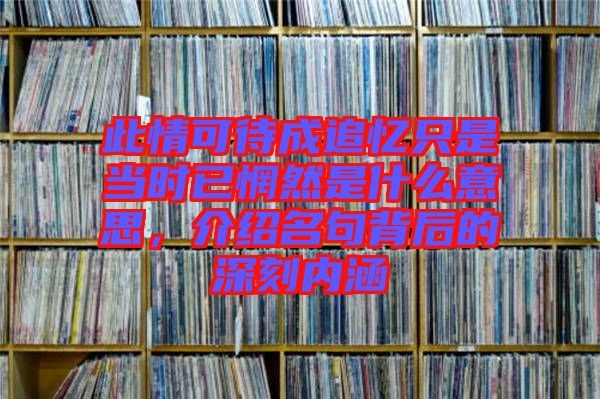 此情可待成追憶只是當時已惘然是什么意思，介紹名句背后的深刻內涵