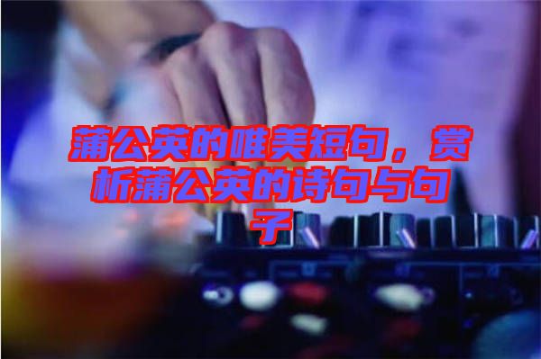 蒲公英的唯美短句，賞析蒲公英的詩句與句子