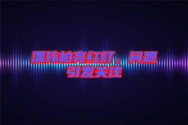 潘瑋柏亮紅燈，問題引發(fā)關(guān)注