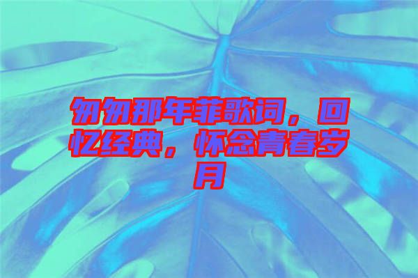 匆匆那年菲歌詞，回憶經典，懷念青春歲月