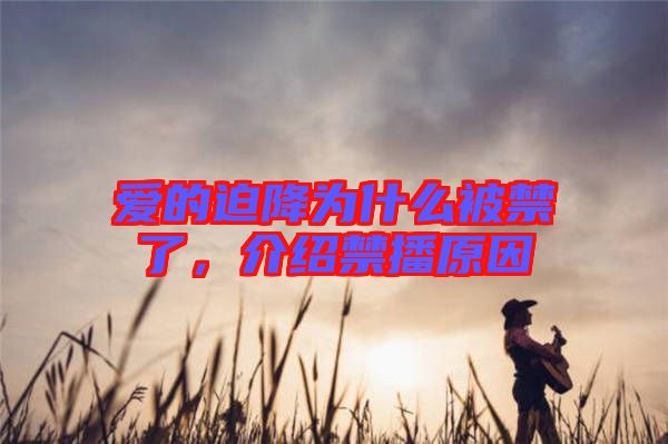 愛的迫降為什么被禁了，介紹禁播原因