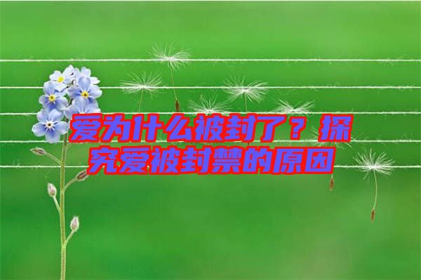 愛為什么被封了？探究愛被封禁的原因