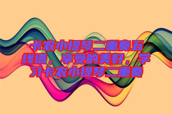 卡農小提琴二重奏五線譜，享受的美好，學習卡農小提琴二重奏