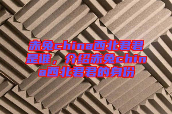 赤兔china西北君君是誰，介紹赤兔china西北君君的身份