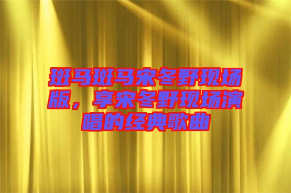 斑馬斑馬宋冬野現(xiàn)場版，享宋冬野現(xiàn)場演唱的經(jīng)典歌曲