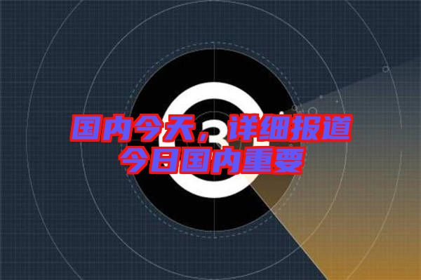 國內(nèi)今天，詳細報道今日國內(nèi)重要