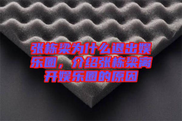 張棟梁為什么退出娛樂圈，介紹張棟梁離開娛樂圈的原因