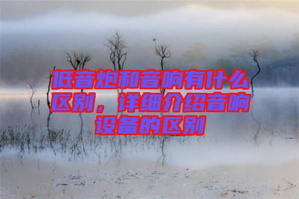 低音炮和音響有什么區別，詳細介紹音響設備的區別