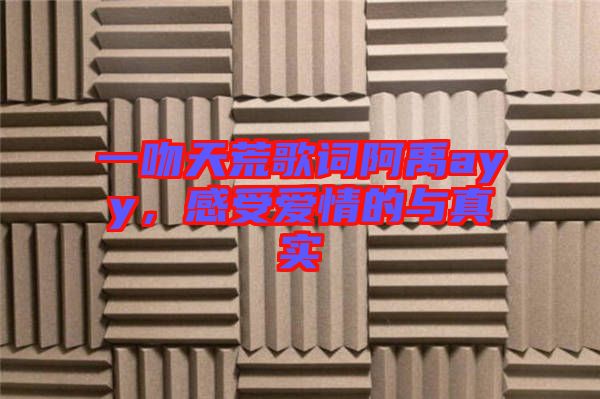 一吻天荒歌詞阿禹ayy，感受愛(ài)情的與真實(shí)