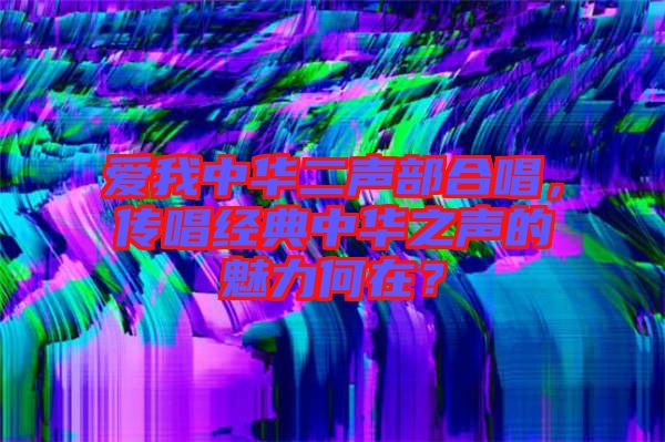 愛我中華二聲部合唱，傳唱經典中華之聲的魅力何在？