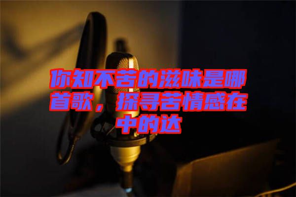 你知不苦的滋味是哪首歌，探尋苦情感在中的達