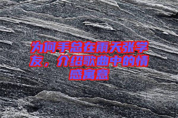為何手總在雨天張學(xué)友，介紹歌曲中的情感寓意