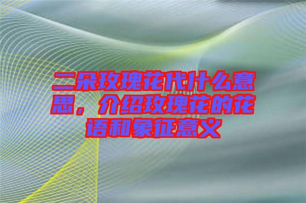 二朵玫瑰花代什么意思，介紹玫瑰花的花語(yǔ)和象征意義