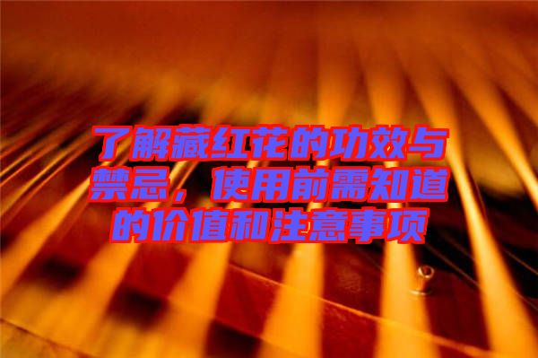了解藏紅花的功效與禁忌，使用前需知道的價值和注意事項