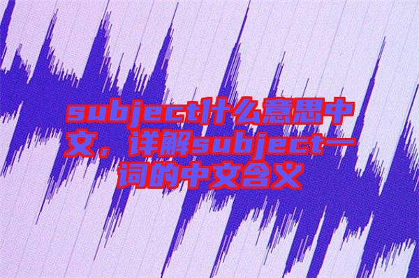 subject什么意思中文，詳解subject一詞的中文含義