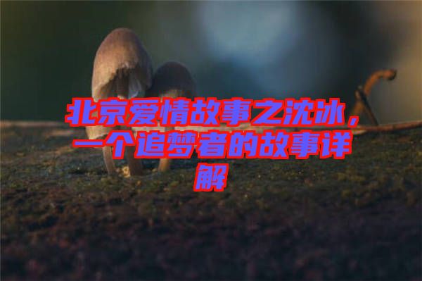 北京愛情故事之沈冰，一個追夢者的故事詳解