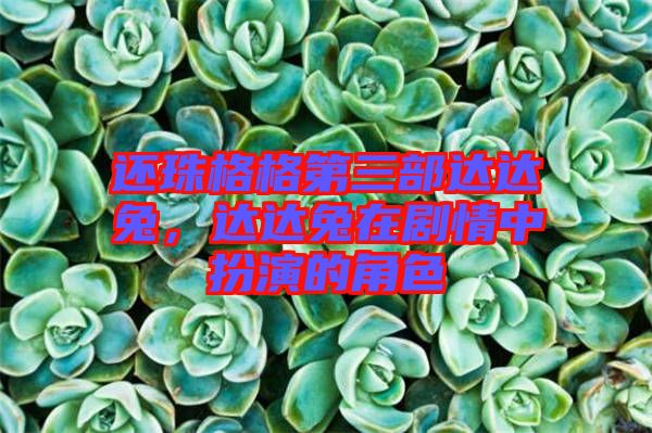 還珠格格第三部達達兔，達達兔在劇情中扮演的角色