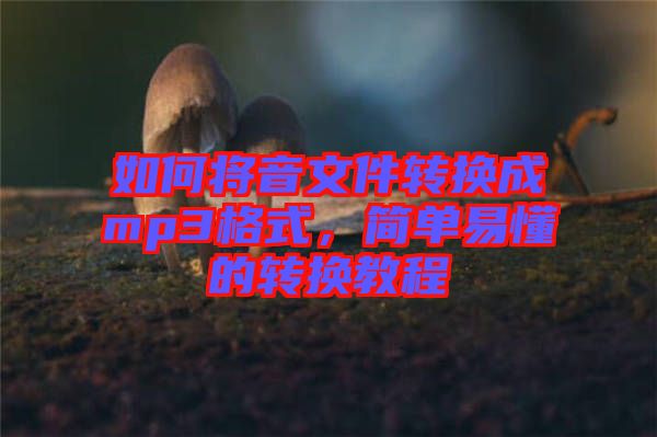 如何將音文件轉換成mp3格式，簡單易懂的轉換教程