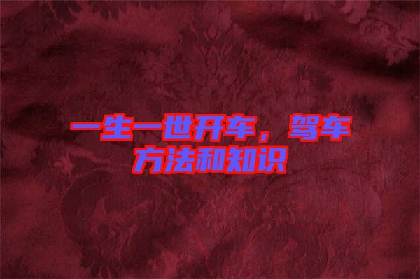 一生一世開車，駕車方法和知識