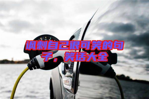 諷刺自己很可笑的句子，笑話大全
