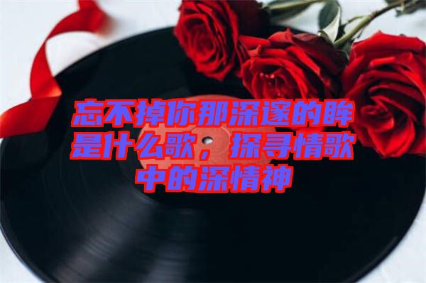 忘不掉你那深邃的眸是什么歌，探尋情歌中的深情神