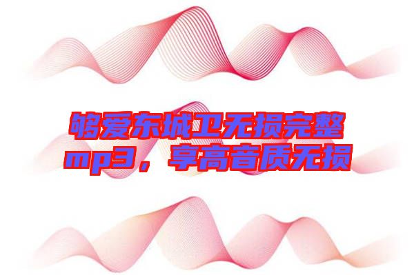 夠愛東城衛無損完整mp3，享高音質無損