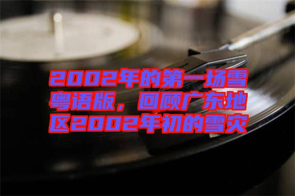 2002年的第一場雪粵語版，回顧廣東地區2002年初的雪災