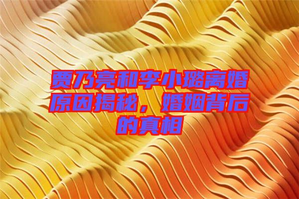 賈乃亮和李小璐離婚原因揭秘，婚姻背后的真相