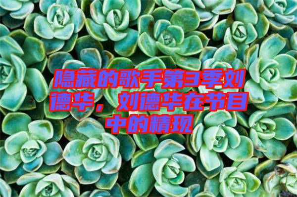 隱藏的歌手第3季劉德華，劉德華在節目中的精現