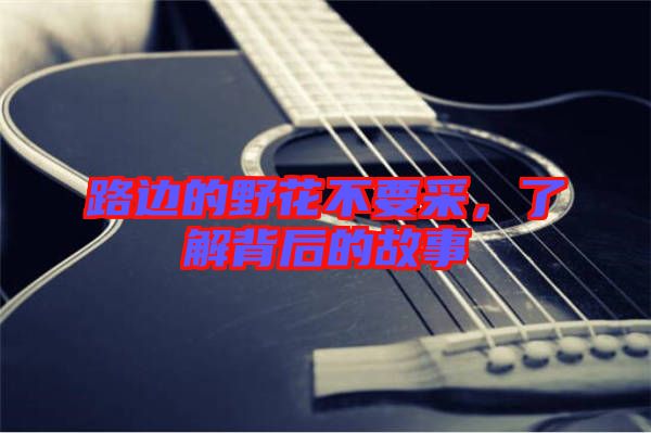 路邊的野花不要采，了解背后的故事