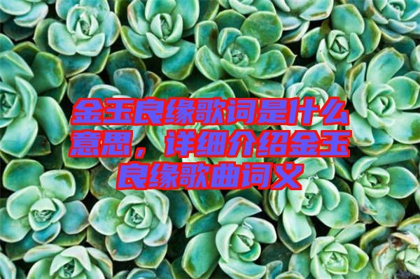 金玉良緣歌詞是什么意思，詳細介紹金玉良緣歌曲詞義