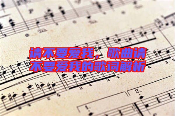 請不要愛我，歌曲請不要愛我的歌詞解析