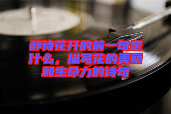 靜待花開的前一句是什么，描寫花的美麗和生命力的詩句