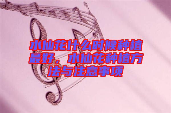 水仙花什么時候種植最好，水仙花種植方法與注意事項