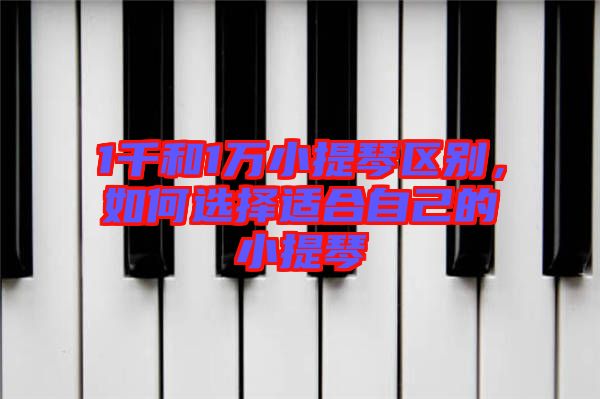 1千和1萬小提琴區別，如何選擇適合自己的小提琴