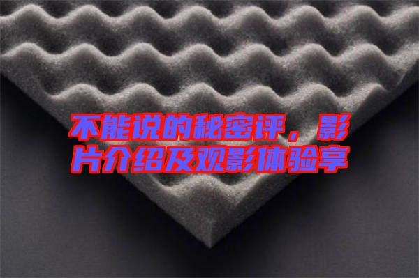不能說的秘密評，影片介紹及觀影體驗享
