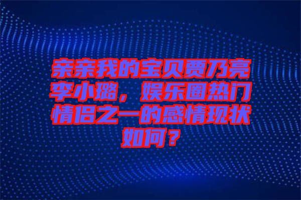 親親我的寶貝賈乃亮李小璐，娛樂圈熱門情侶之一的感情現狀如何？