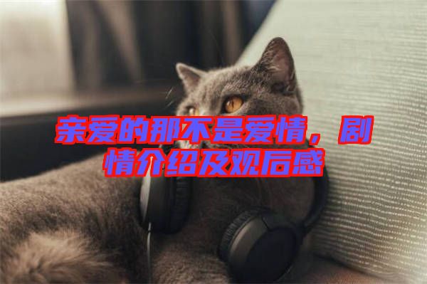 親愛的那不是愛情，劇情介紹及觀后感