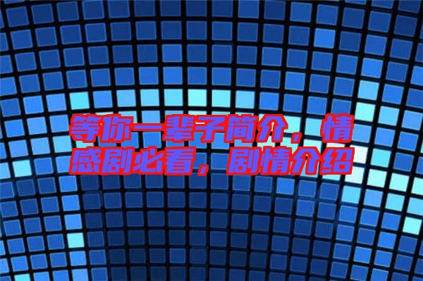 等你一輩子簡介，情感劇必看，劇情介紹
