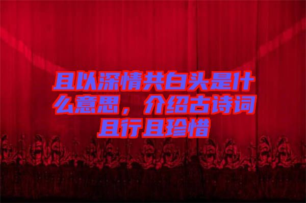 且以深情共白頭是什么意思，介紹古詩詞且行且珍惜