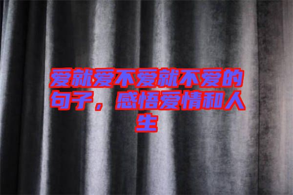 愛就愛不愛就不愛的句子，感悟愛情和人生