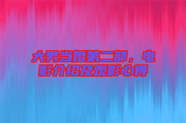 大男當(dāng)婚第二部，電影介紹及觀影心得