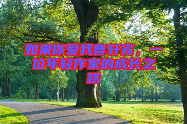 如果你愛我曹軒賓，一位年輕作家的成長之路