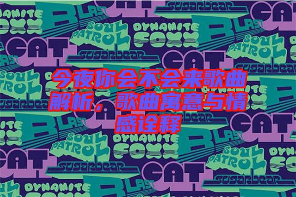 今夜你會(huì)不會(huì)來歌曲解析，歌曲寓意與情感詮釋
