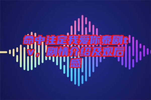 命中注定我愛你泰劇tv，劇情介紹及觀后感