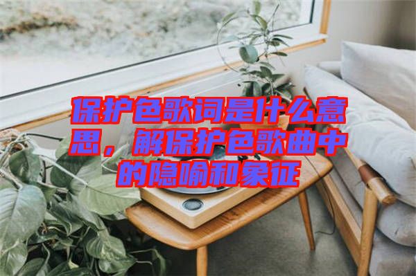 保護色歌詞是什么意思，解保護色歌曲中的隱喻和象征