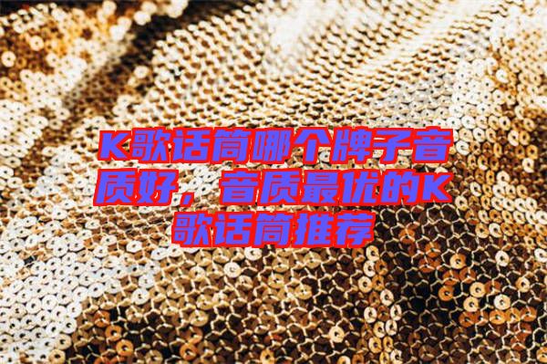 K歌話筒哪個牌子音質(zhì)好，音質(zhì)最優(yōu)的K歌話筒推薦